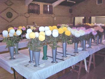 Hedon Show 2007 Image11