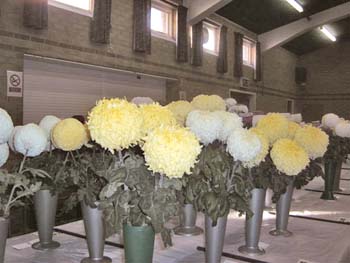 Hedon Show 2007 Image2
