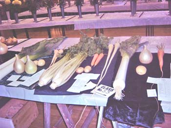 Hedon Show 2007 Image5
