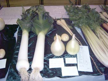 Hedon Show 2007 Image6
