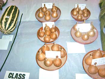 Hedon Show 2007 Image7