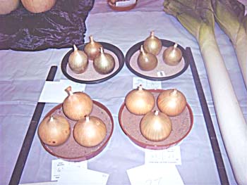 Hedon Show 2007 Image8