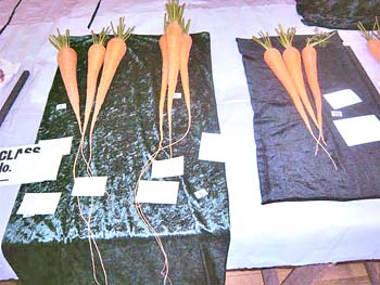 Hedon Show 2007 Image9