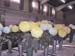 Hedon Show 2007 Image1