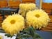 Humberside Image7